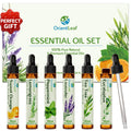 Essential Oil Set, 100% Pure Natural Aromatherapy Essential Oils Set for Diffusers, Massage, Aromatherapy, Skin & Hair Care, Mother'S Day Gifts for Women